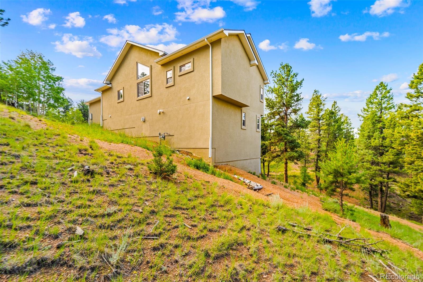 MLS Image #4 for 367  cottonwood lake drive,divide, Colorado