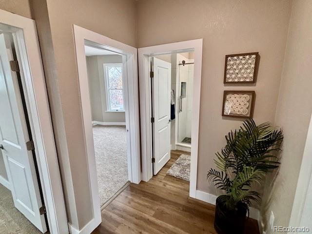 MLS Image #17 for 2631 w 34 avenue,denver, Colorado