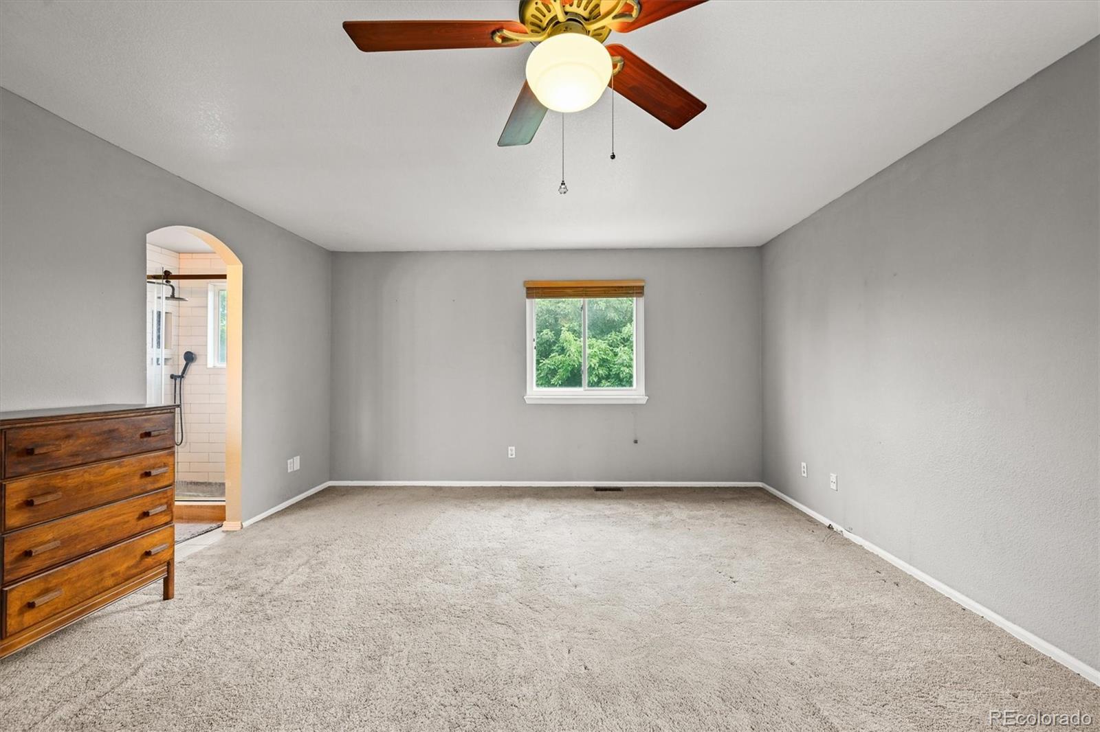 MLS Image #28 for 4452  cornish way,denver, Colorado