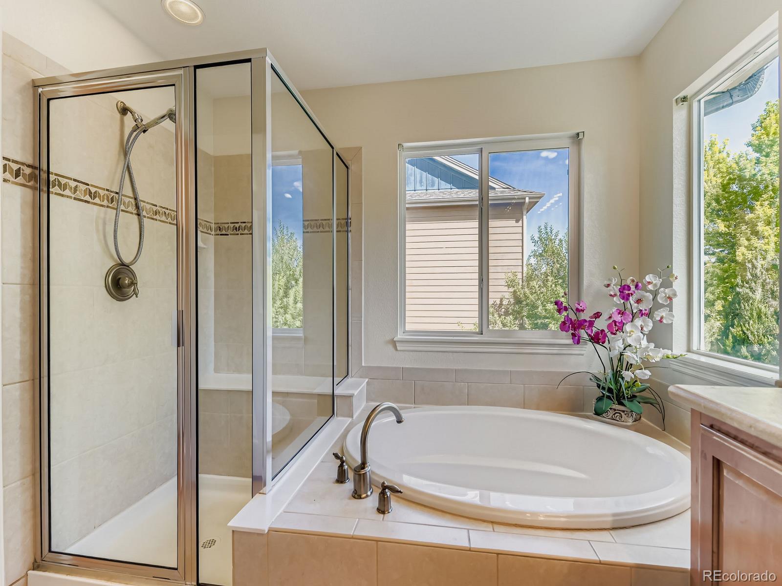 MLS Image #15 for 13250  wild basin way,broomfield, Colorado