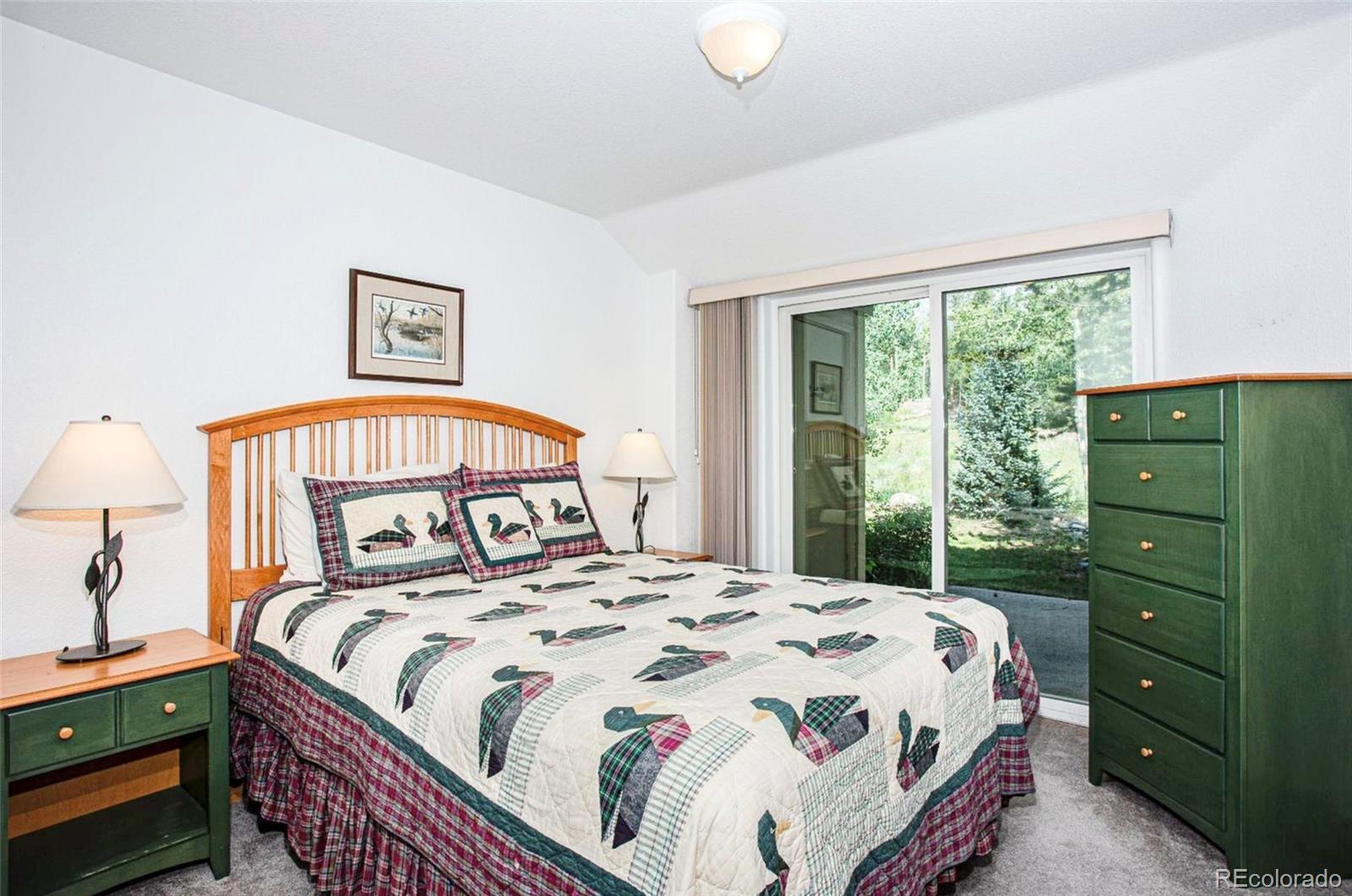MLS Image #24 for 101  morningstar circle,frisco, Colorado