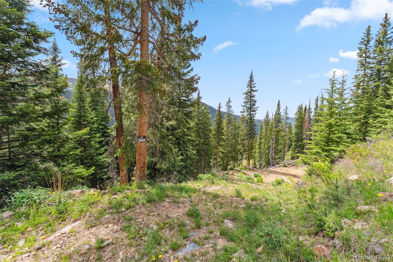 MLS Image #38 for 353  bullion mine road,dillon, Colorado