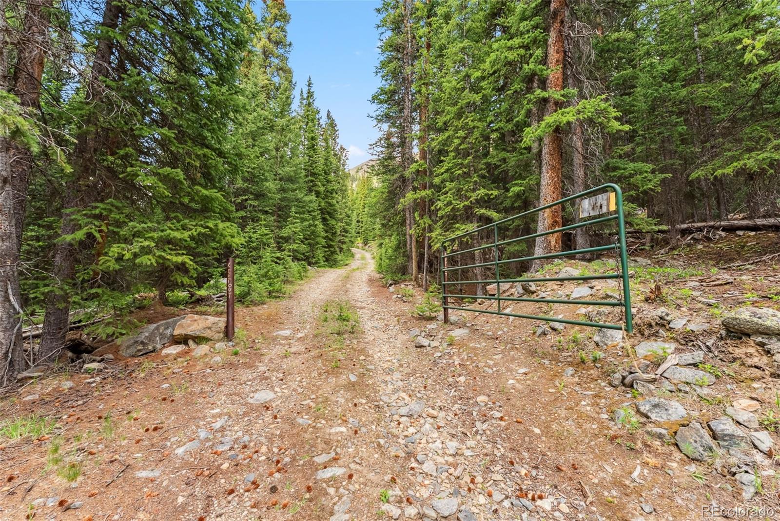 MLS Image #39 for 353  bullion mine road,dillon, Colorado