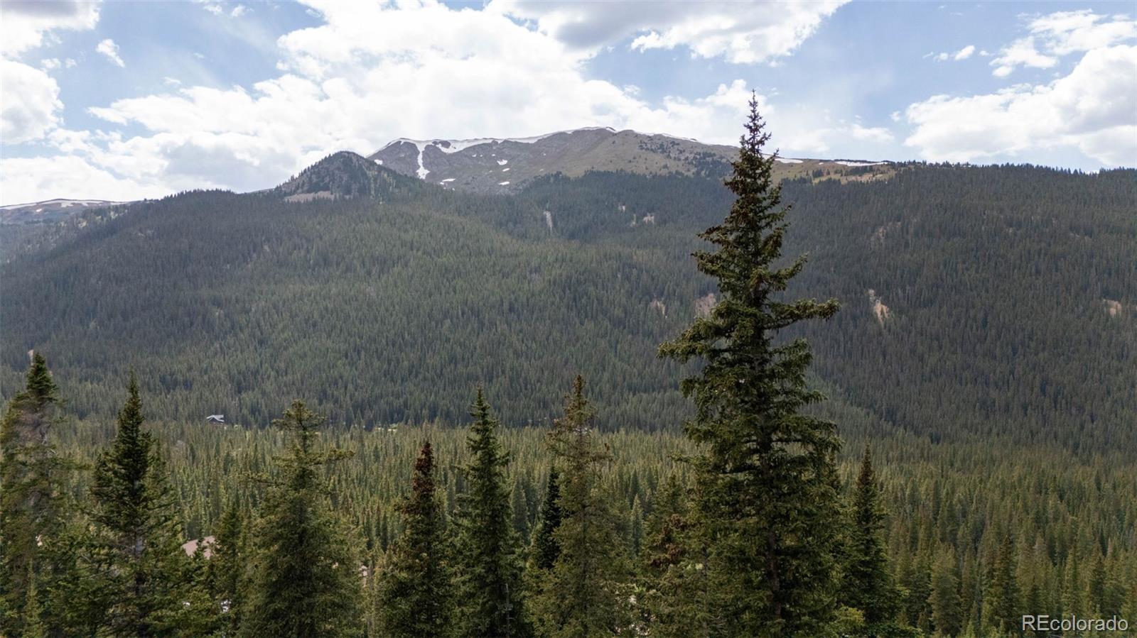 MLS Image #44 for 353  bullion mine road,dillon, Colorado