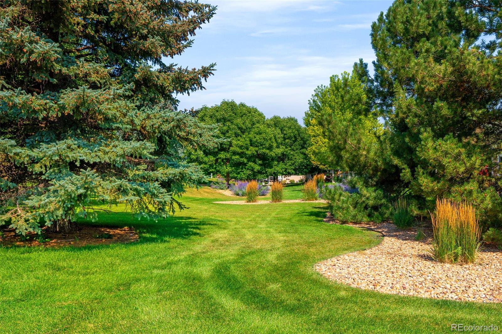 MLS Image #15 for 9042  shetland way,highlands ranch, Colorado