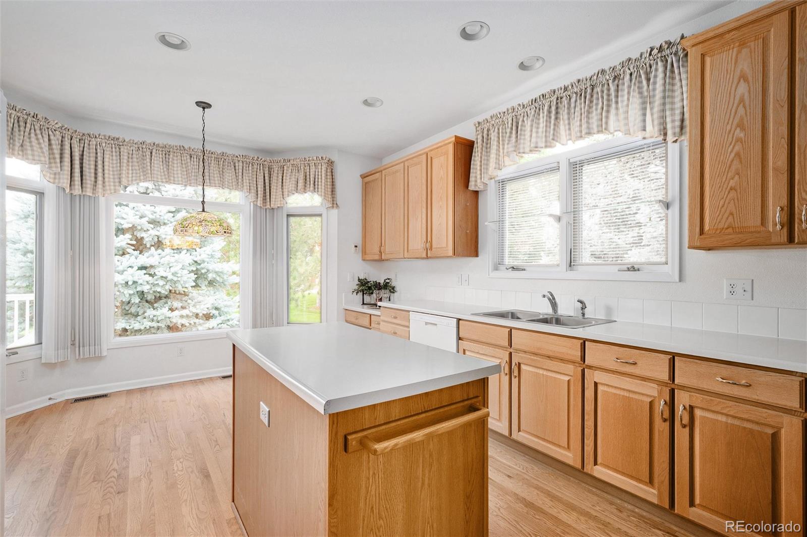 MLS Image #20 for 9042  shetland way,highlands ranch, Colorado