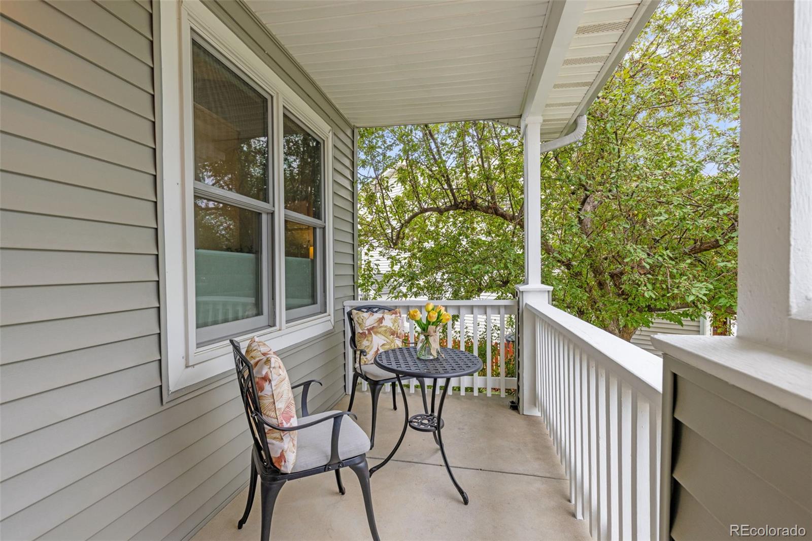 MLS Image #3 for 21829  longs peak lane,parker, Colorado
