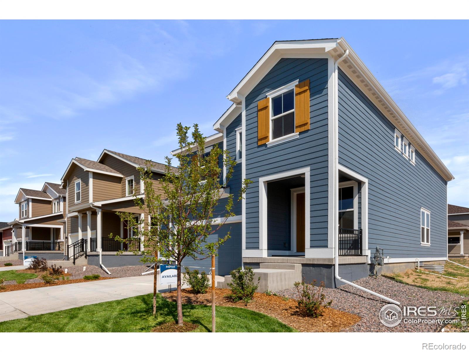 MLS Image #2 for 3182  conquest street,fort collins, Colorado