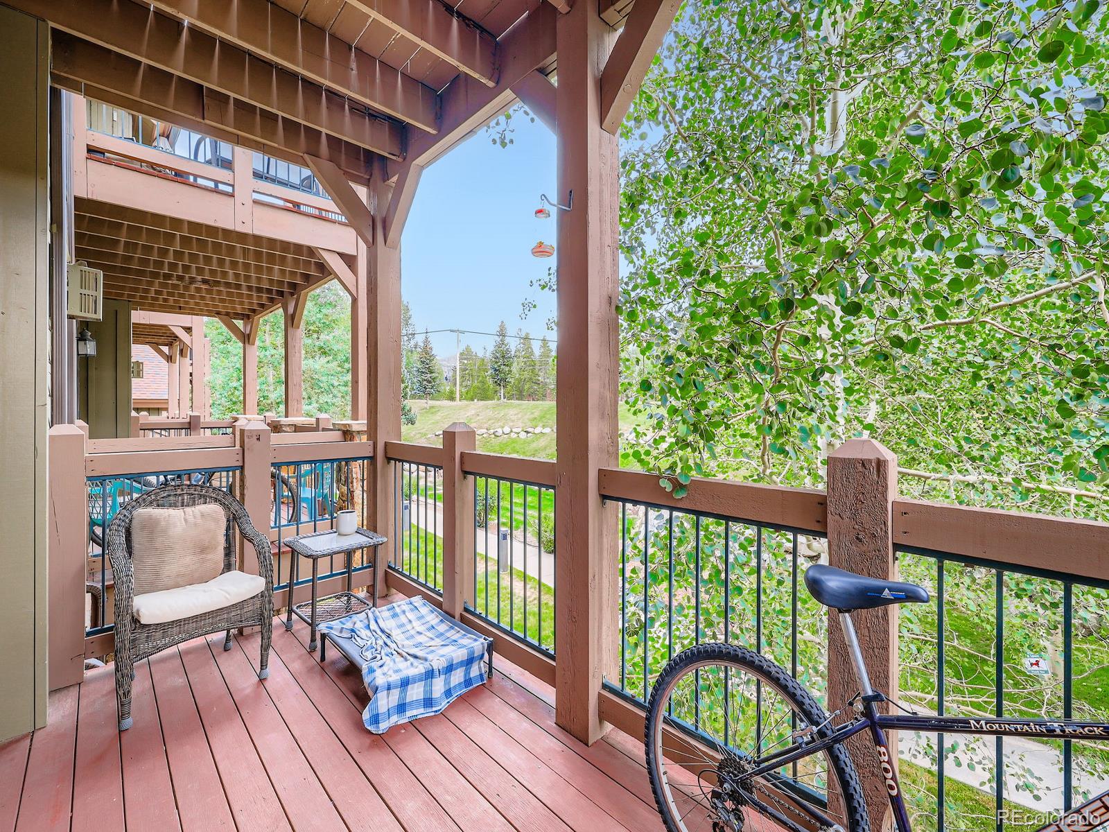 MLS Image #16 for 34  highfield trail,breckenridge, Colorado