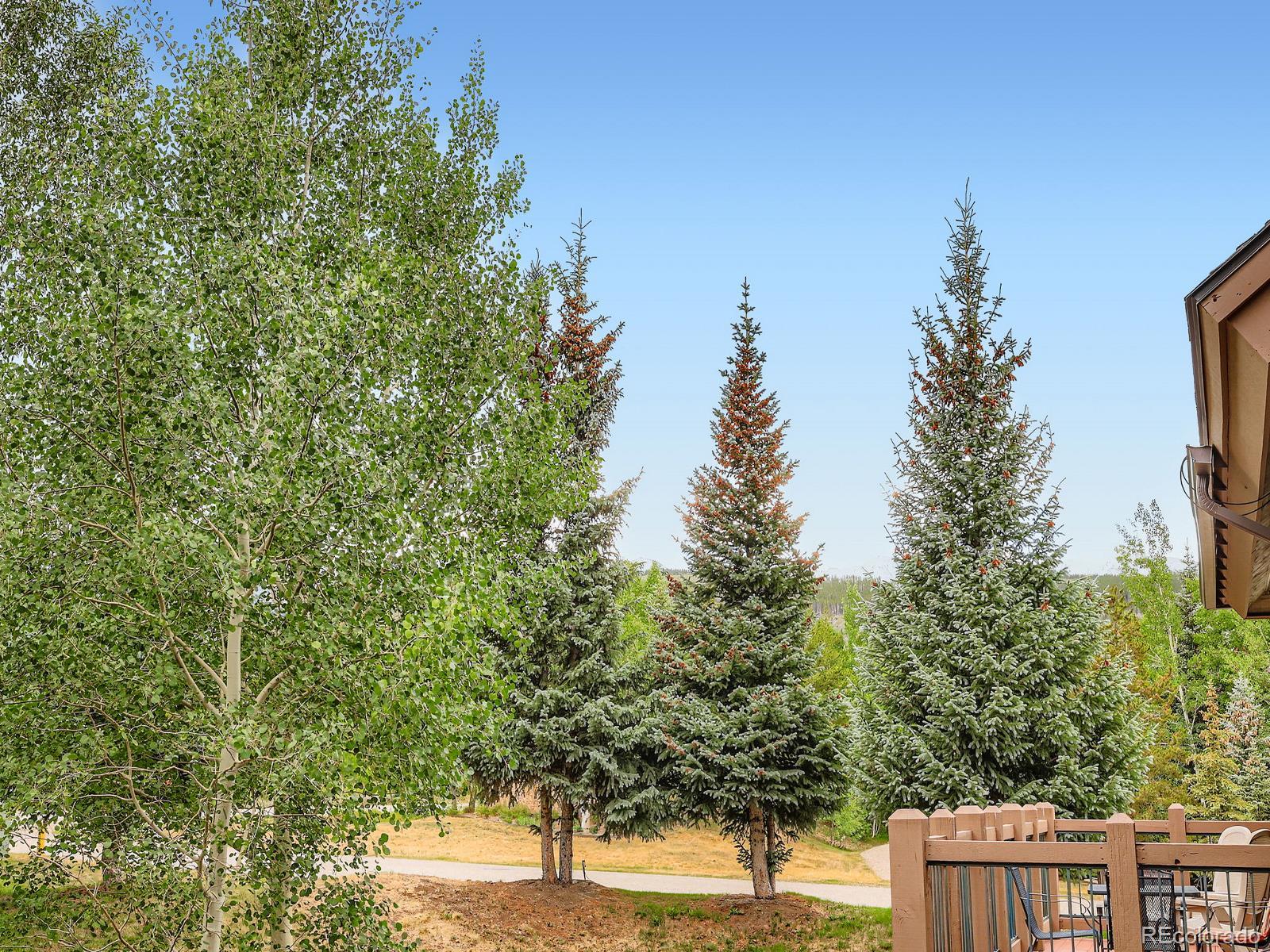 MLS Image #26 for 34  highfield trail,breckenridge, Colorado