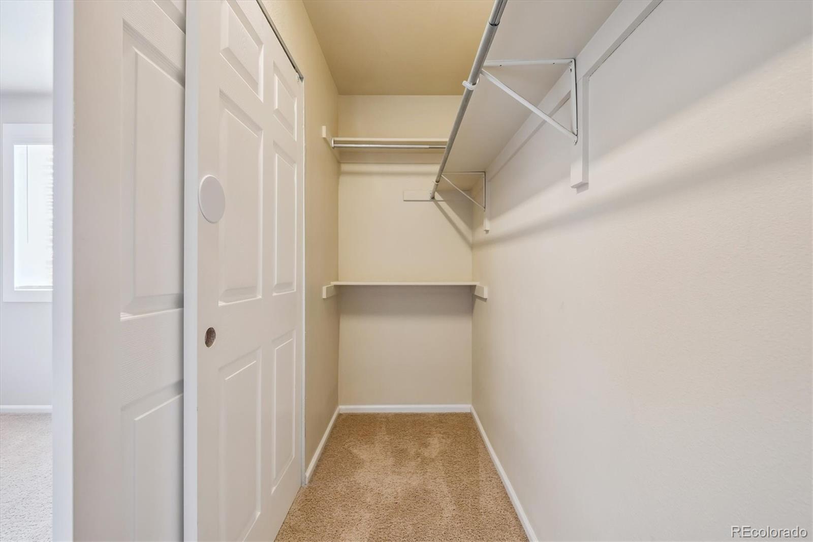 MLS Image #13 for 9664  sun meadow street,littleton, Colorado