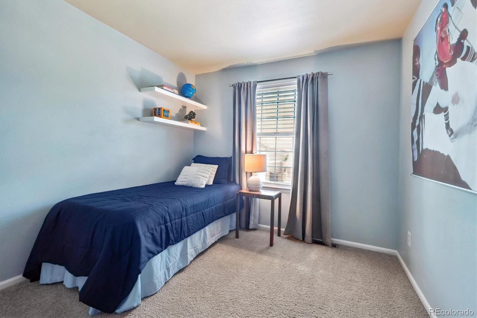 MLS Image #19 for 9664  sun meadow street,littleton, Colorado