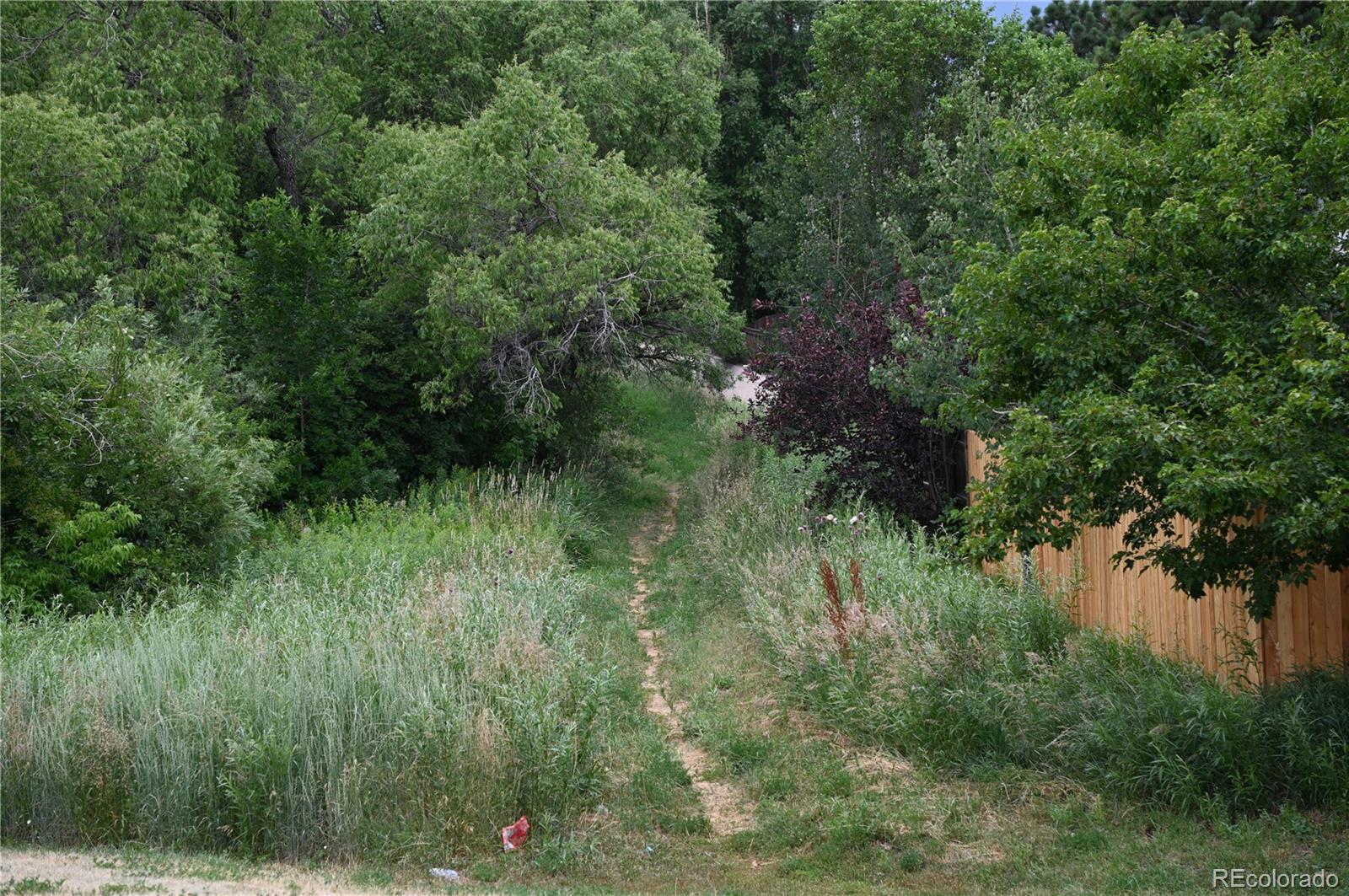 MLS Image #32 for 2642  lynbarton point,colorado springs, Colorado