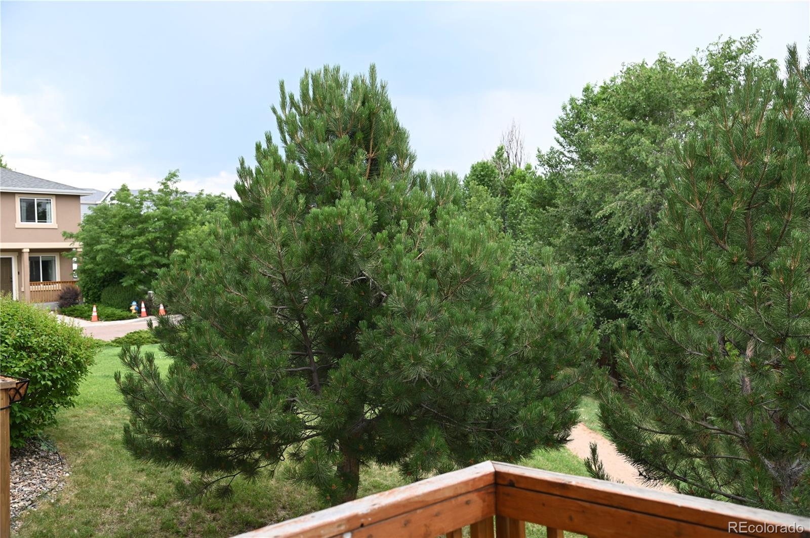 MLS Image #7 for 2642  lynbarton point,colorado springs, Colorado