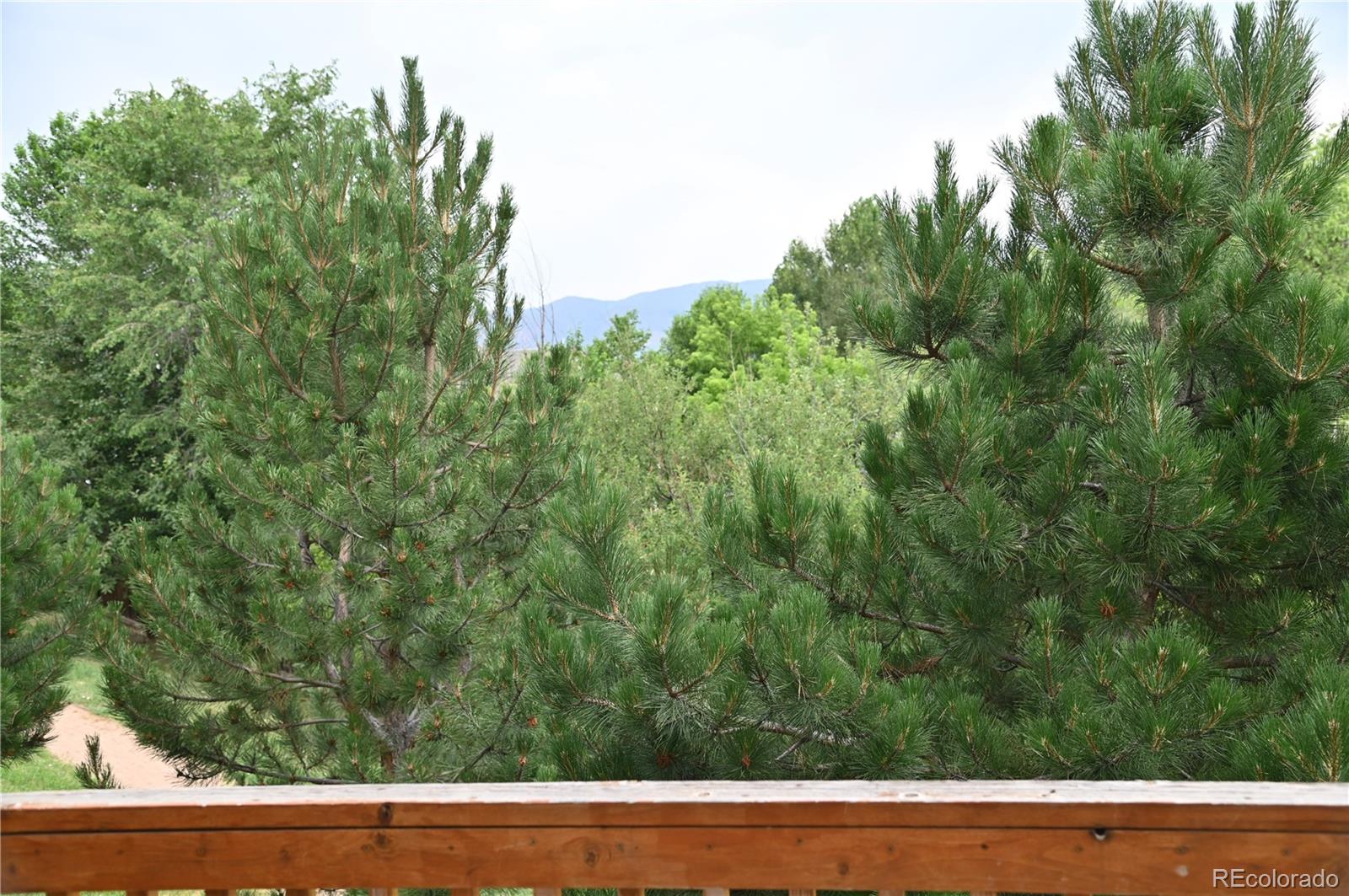 MLS Image #8 for 2642  lynbarton point,colorado springs, Colorado