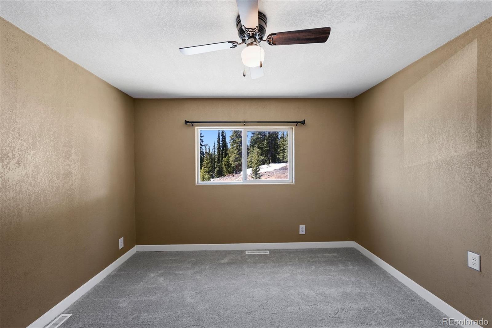 MLS Image #12 for 491  valley of the sun drive,fairplay, Colorado