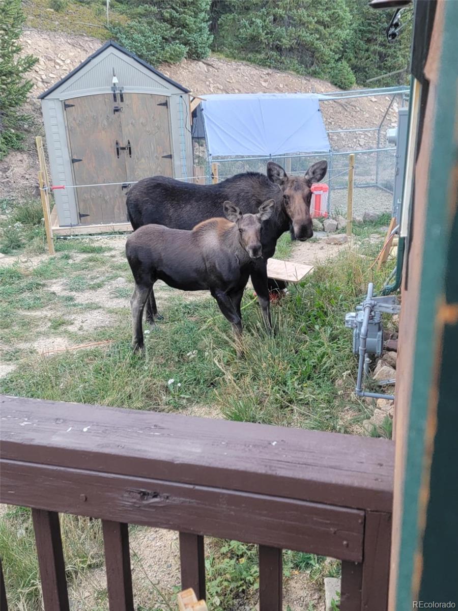 MLS Image #32 for 491  valley of the sun drive,fairplay, Colorado