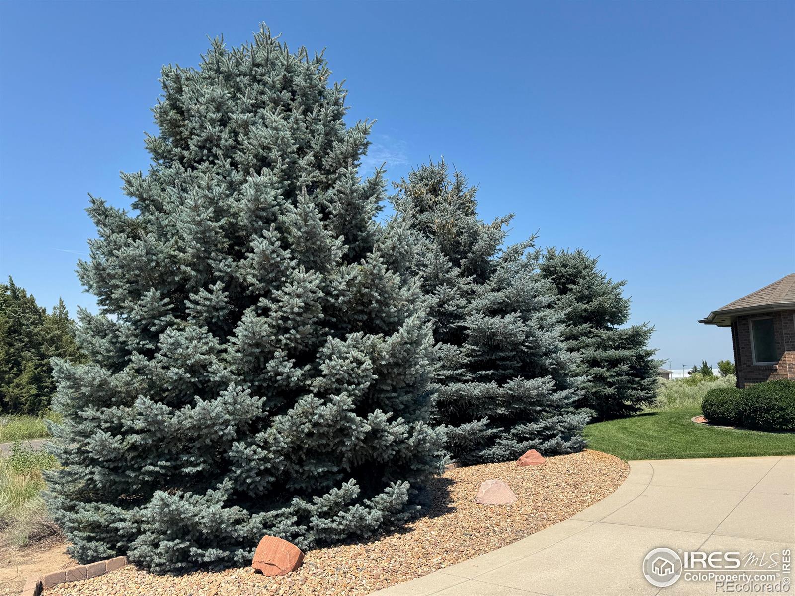 MLS Image #36 for 117  hillside drive,sterling, Colorado