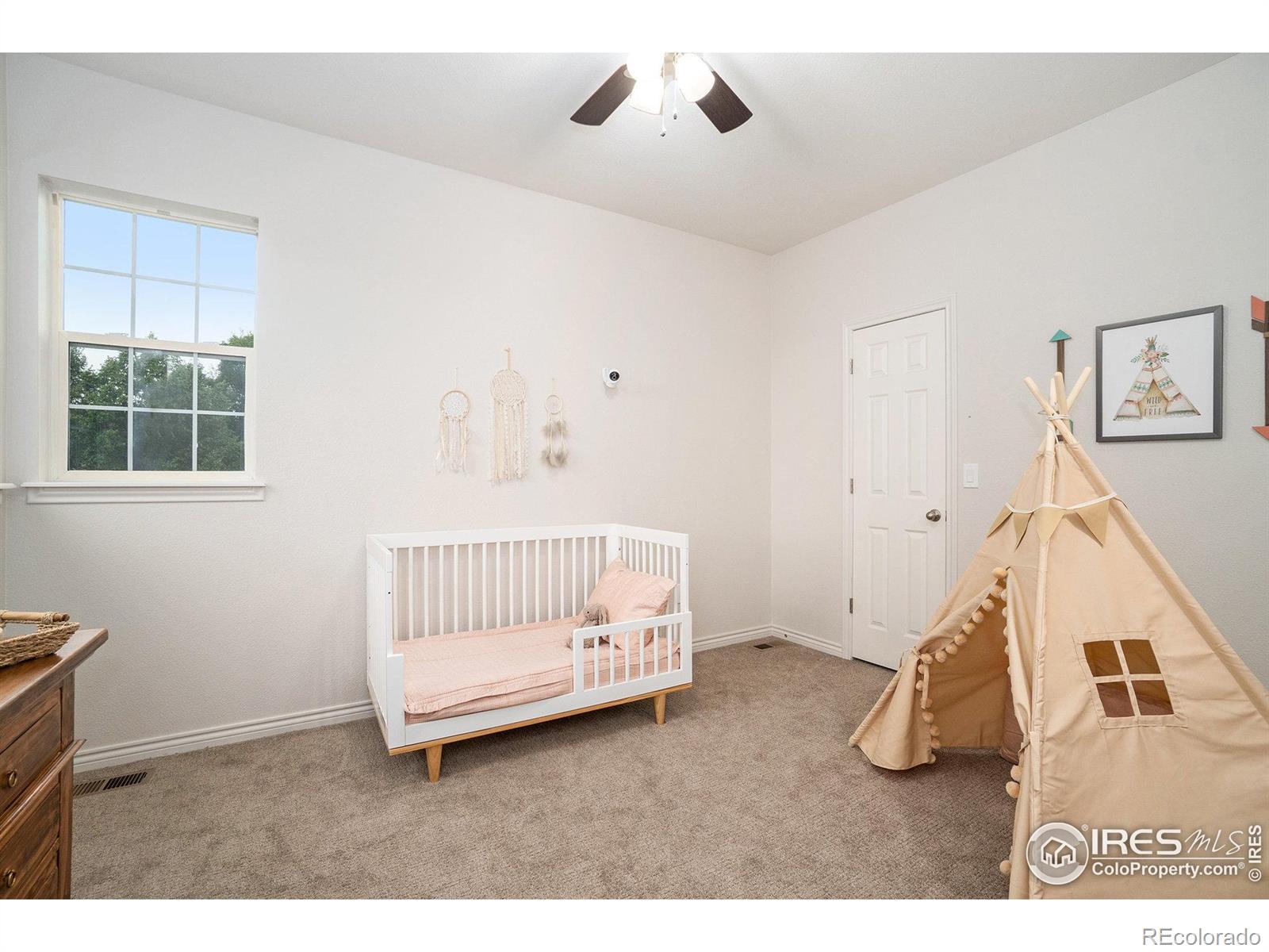 MLS Image #22 for 238  wood duck court,windsor, Colorado