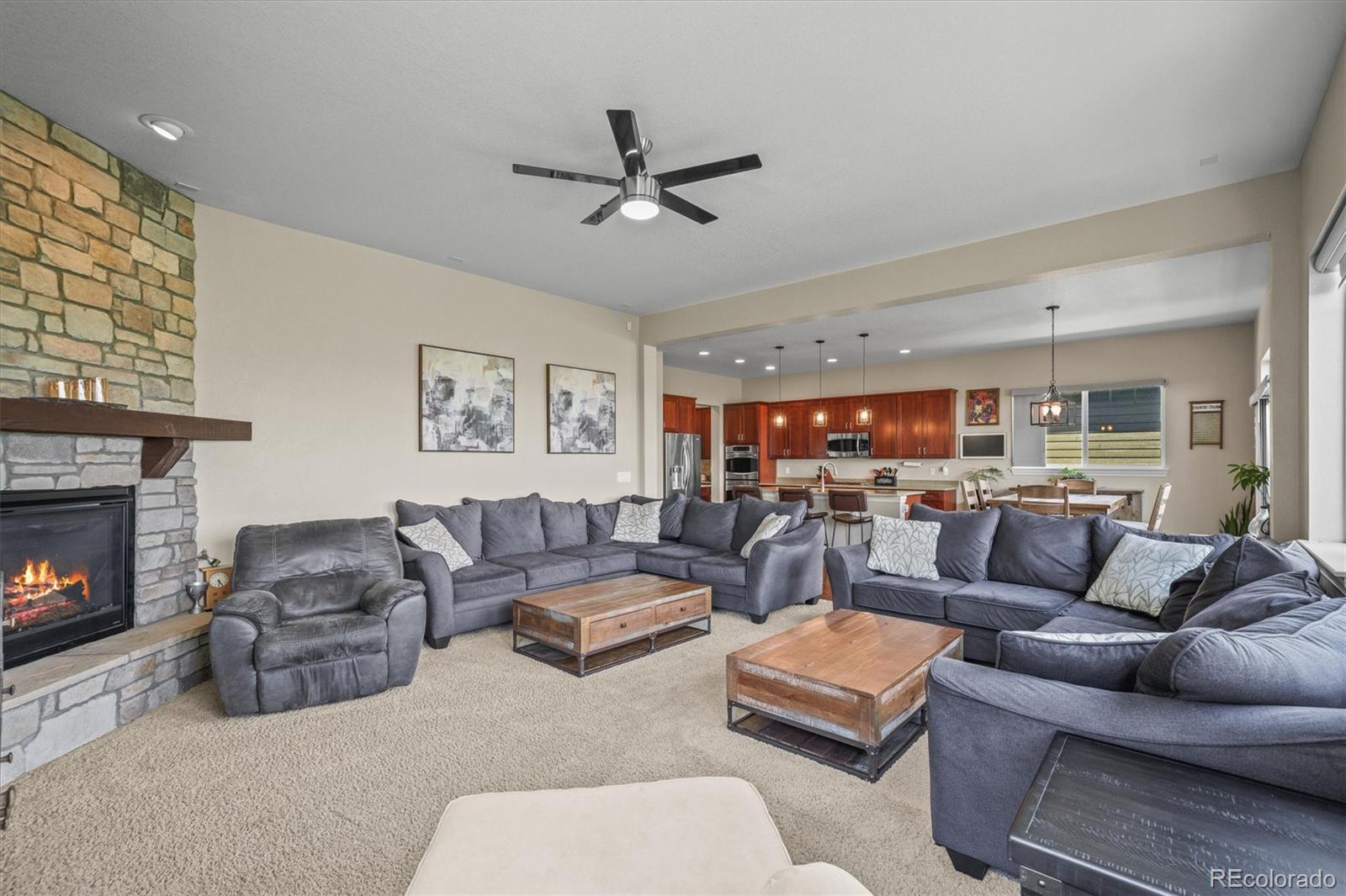 MLS Image #21 for 14201 w 91st lane,arvada, Colorado
