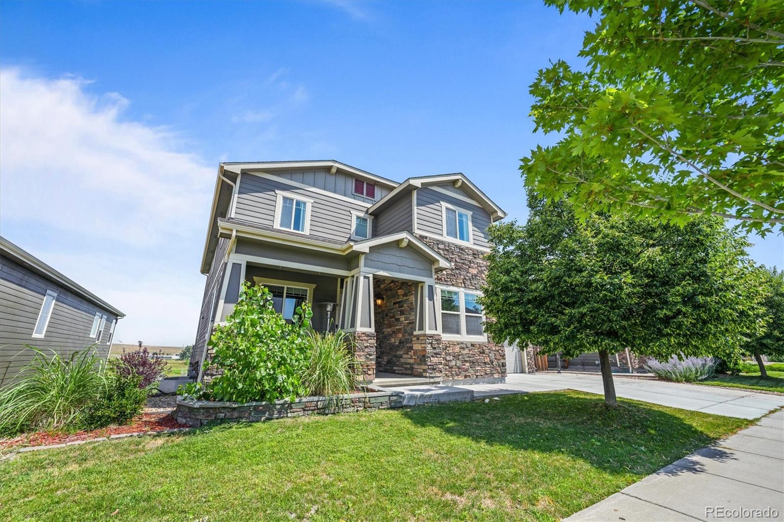 MLS Image #3 for 14201 w 91st lane,arvada, Colorado