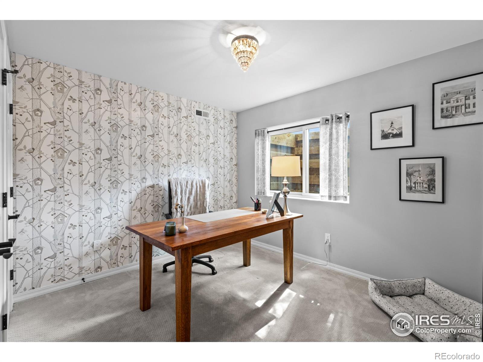 MLS Image #27 for 7405  augusta drive,boulder, Colorado