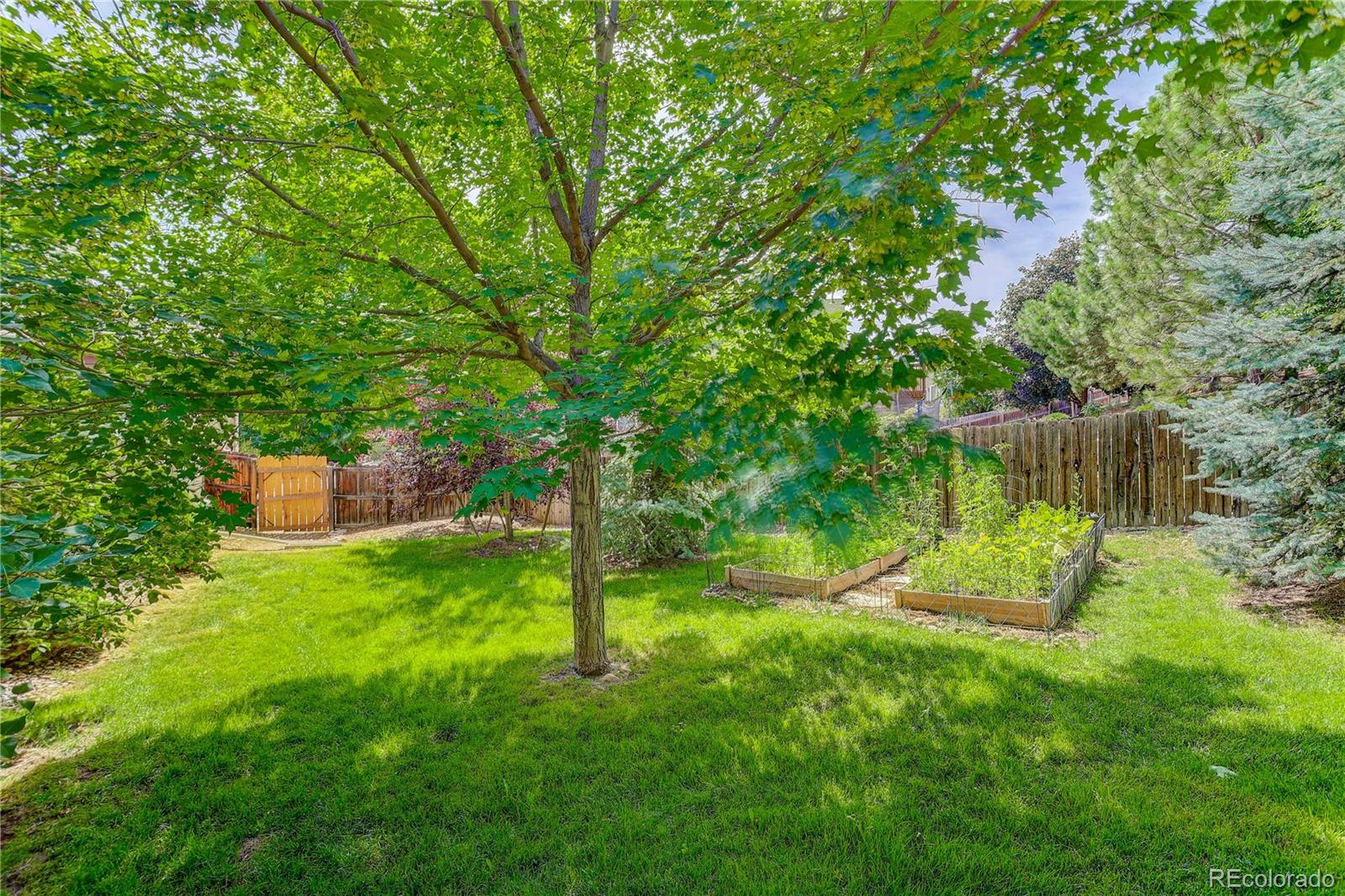 MLS Image #42 for 8133  spikegrass court,castle pines, Colorado