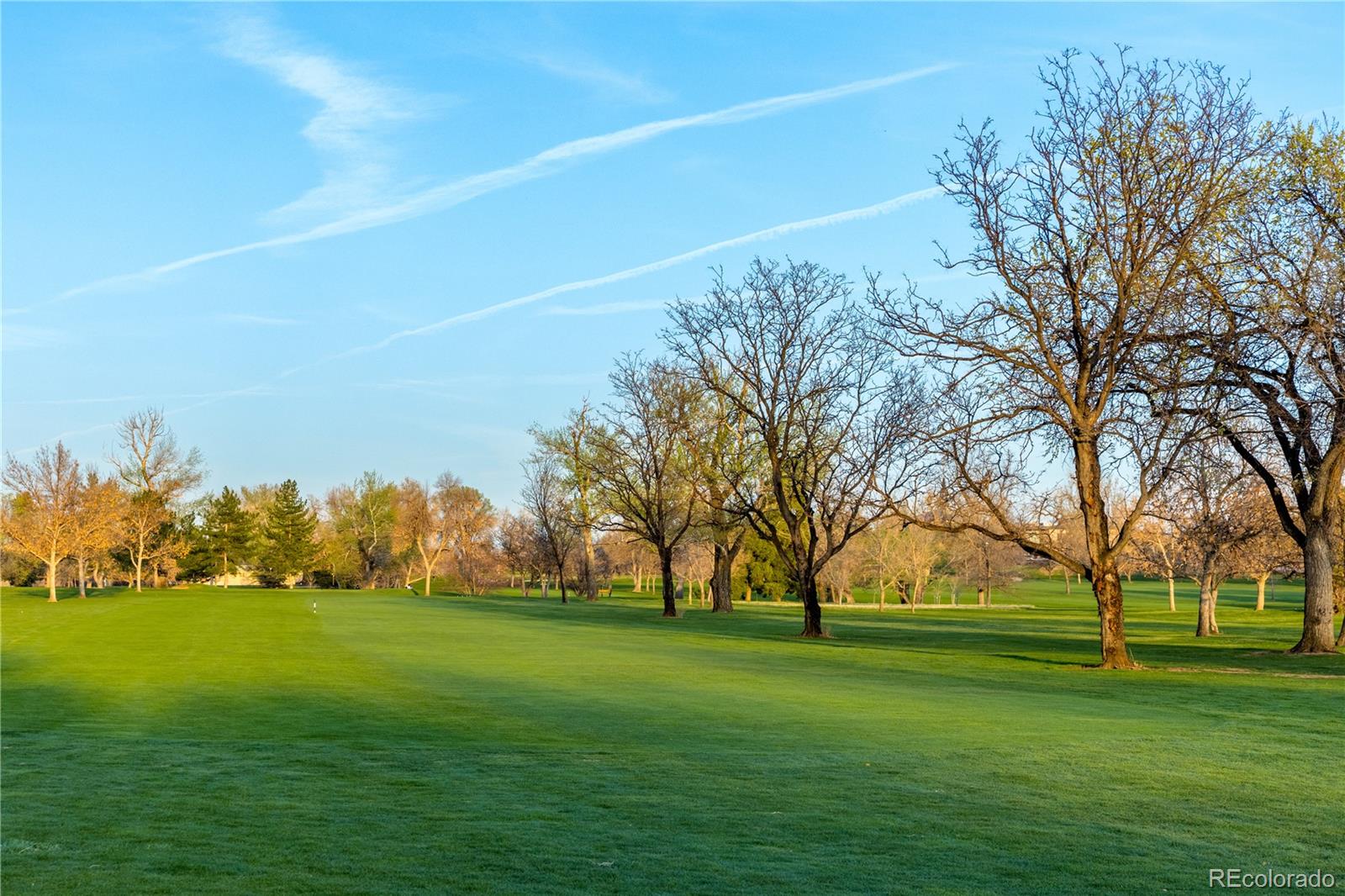 MLS Image #45 for 2960 e floyd drive,denver, Colorado