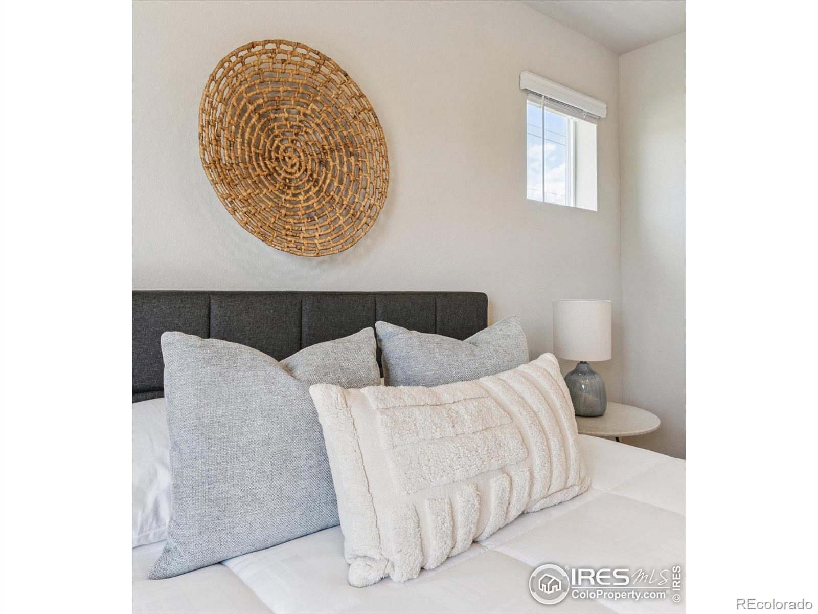 MLS Image #19 for 2890 s flat circle,longmont, Colorado