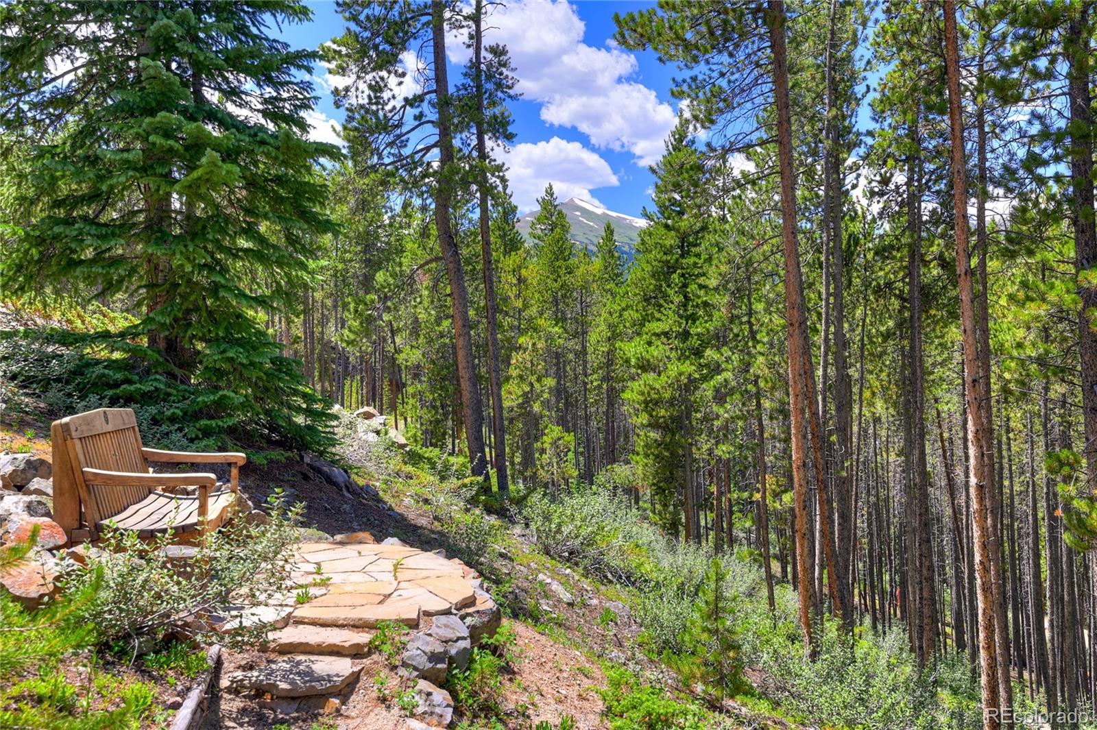 MLS Image #21 for 456  peerless drive,breckenridge, Colorado
