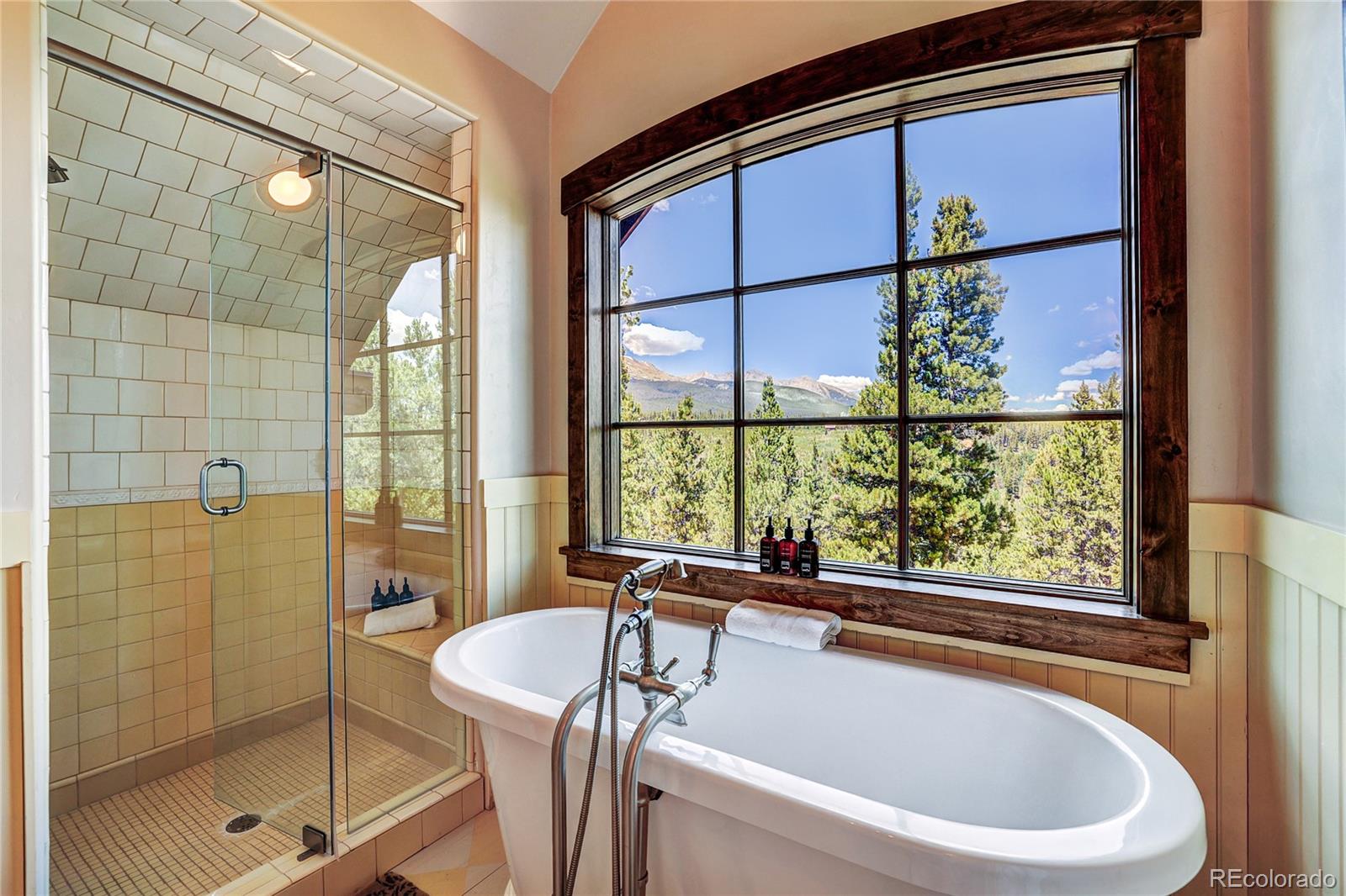 MLS Image #31 for 456  peerless drive,breckenridge, Colorado