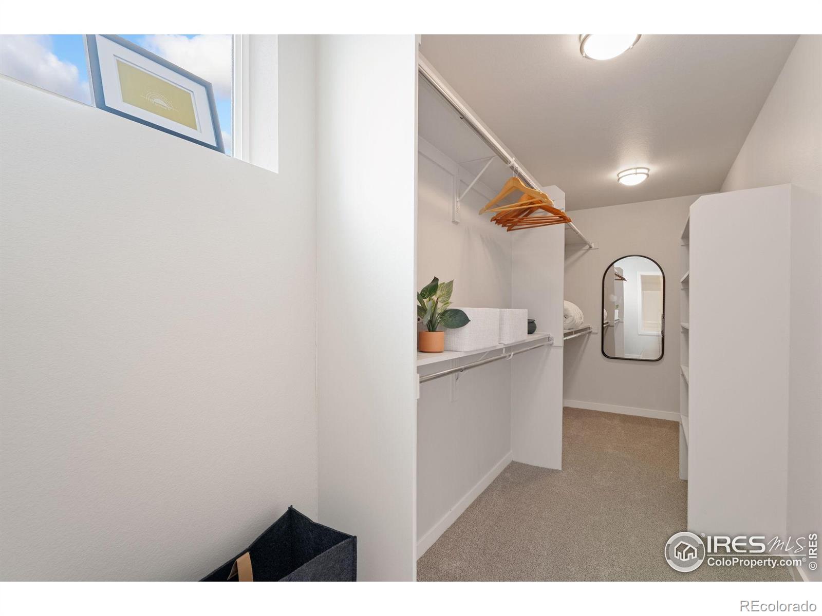 MLS Image #17 for 2726  sykes drive,fort collins, Colorado