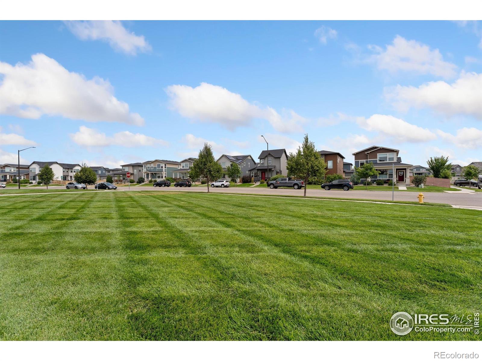 MLS Image #31 for 2726  sykes drive,fort collins, Colorado