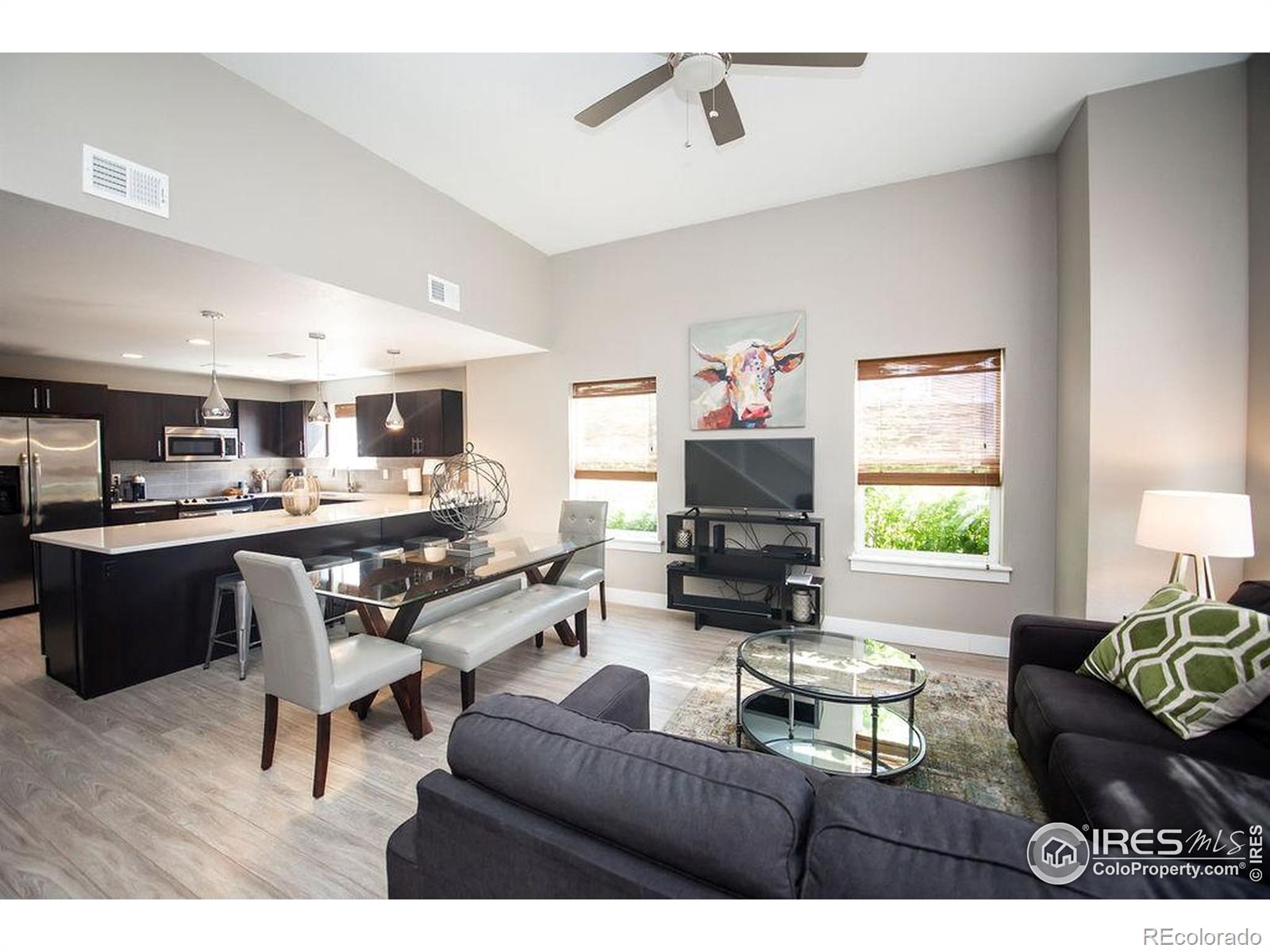 MLS Image #6 for 850  baum street,fort collins, Colorado