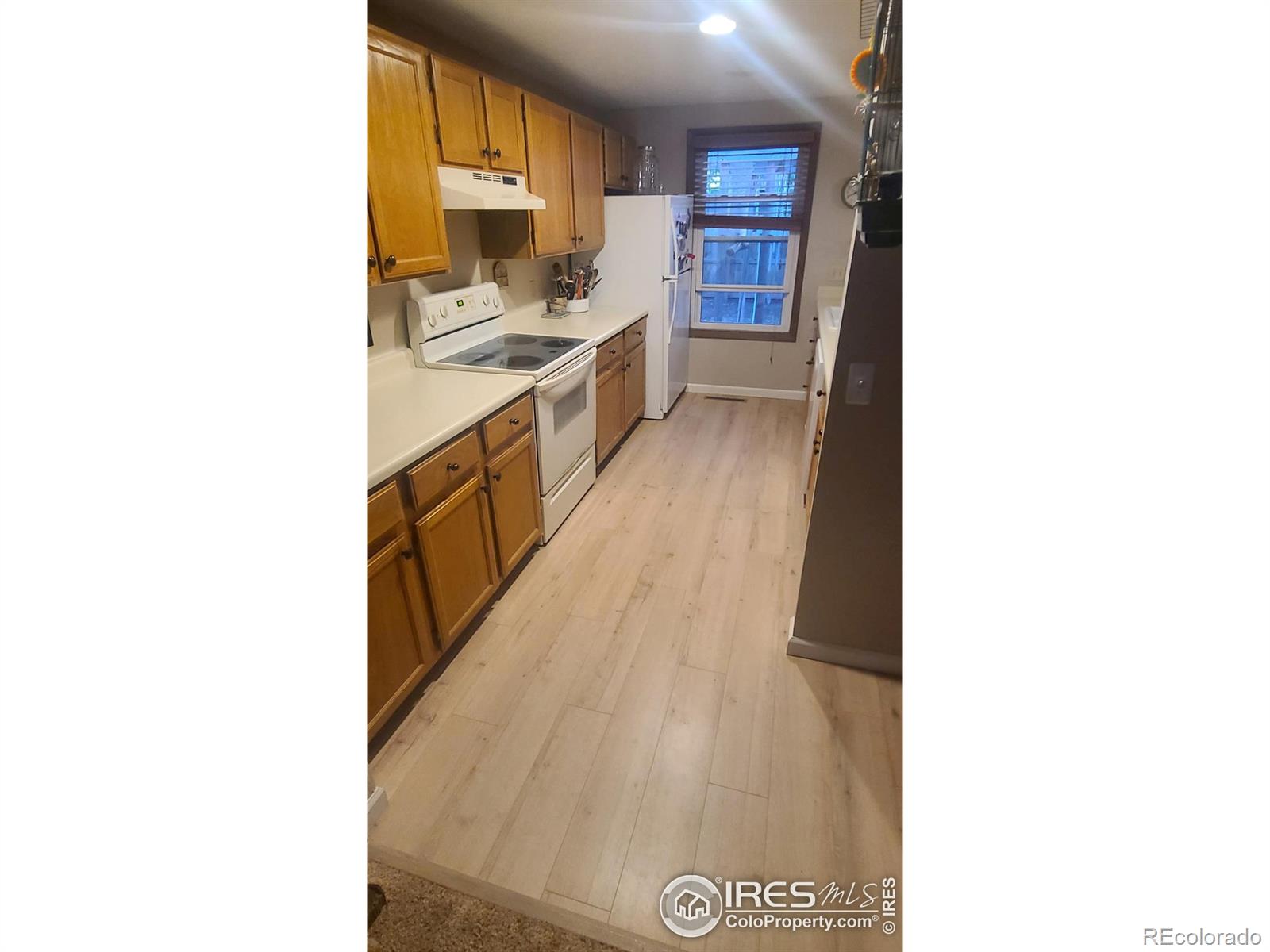 MLS Image #12 for 1925  ames court,fort collins, Colorado