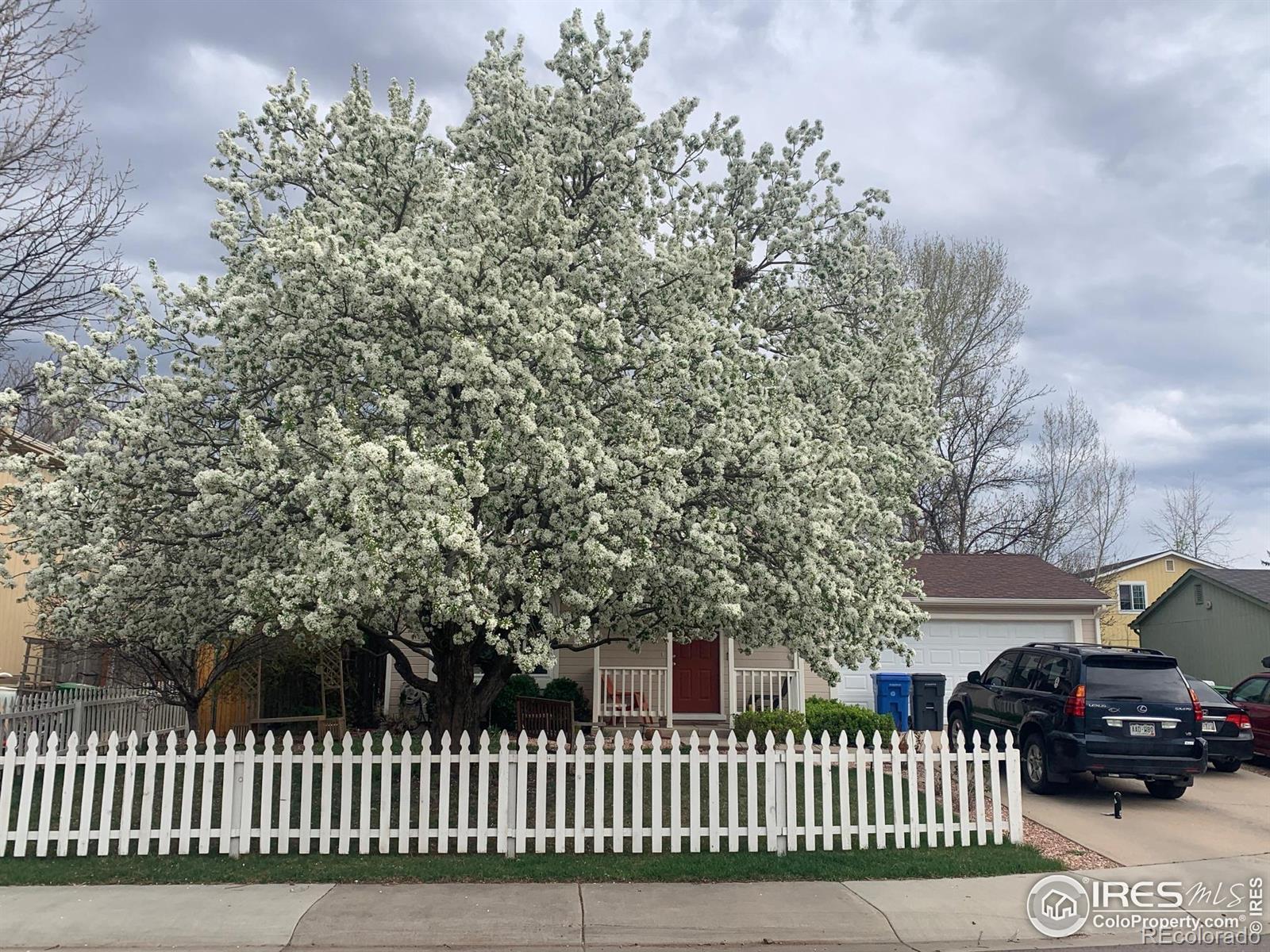 MLS Image #2 for 1925  ames court,fort collins, Colorado