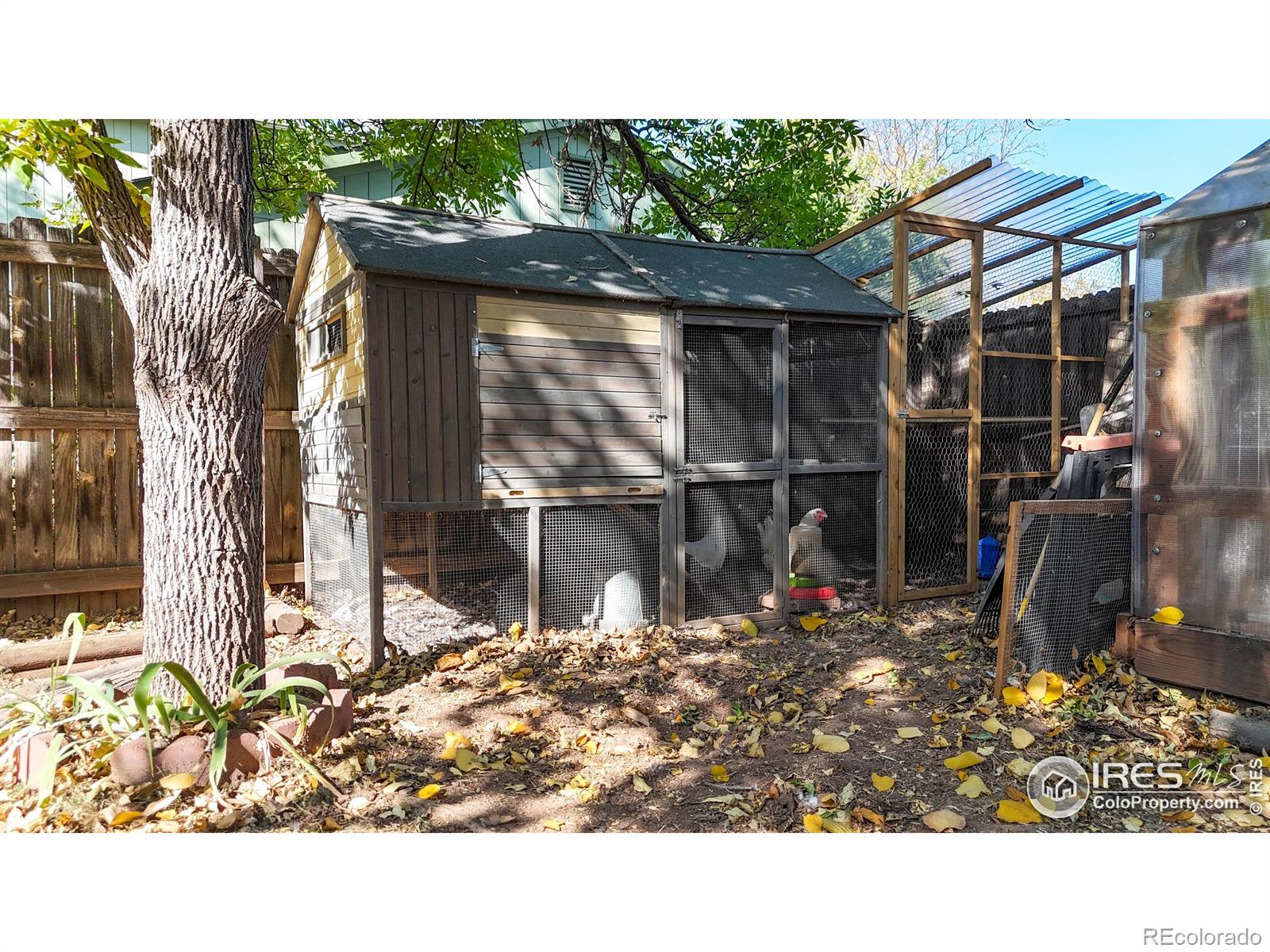 MLS Image #34 for 1925  ames court,fort collins, Colorado