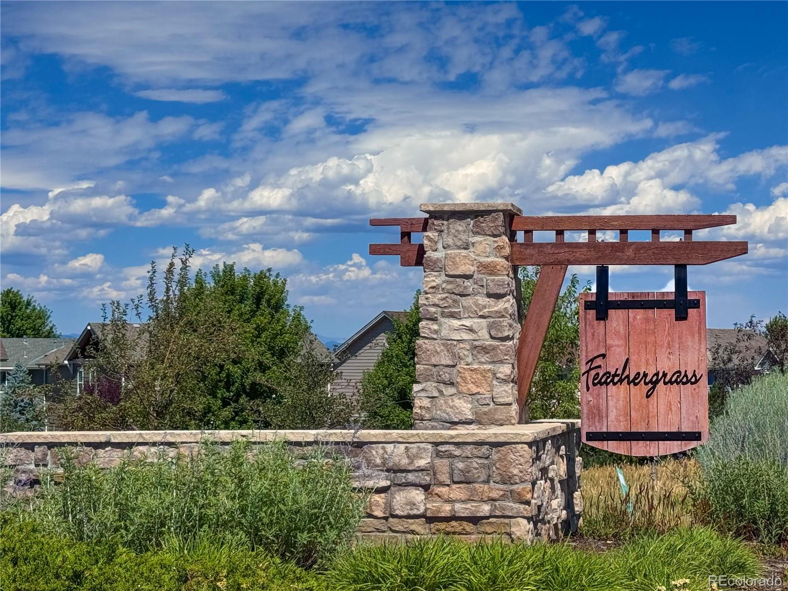 MLS Image #21 for 2934  feather court,castle rock, Colorado