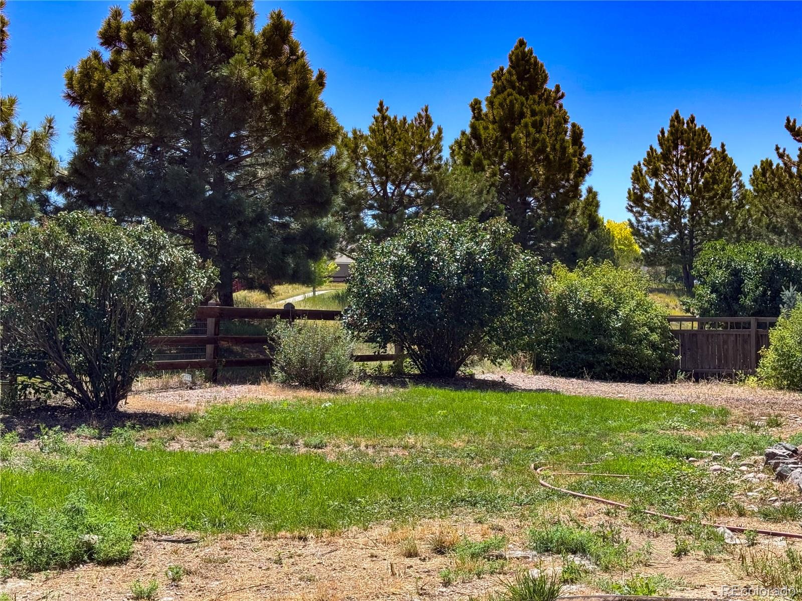 MLS Image #4 for 2934  feather court,castle rock, Colorado
