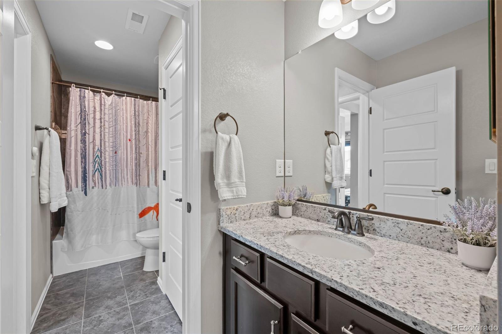 MLS Image #29 for 537  sage grouse circle,castle rock, Colorado