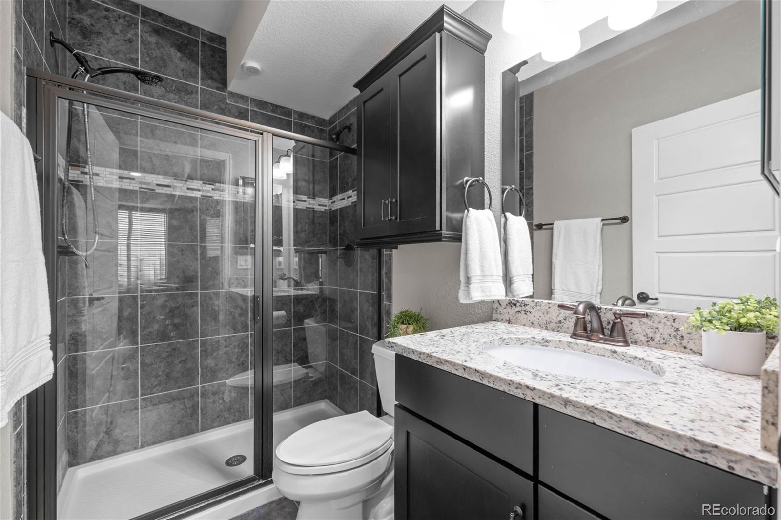 MLS Image #40 for 537  sage grouse circle,castle rock, Colorado