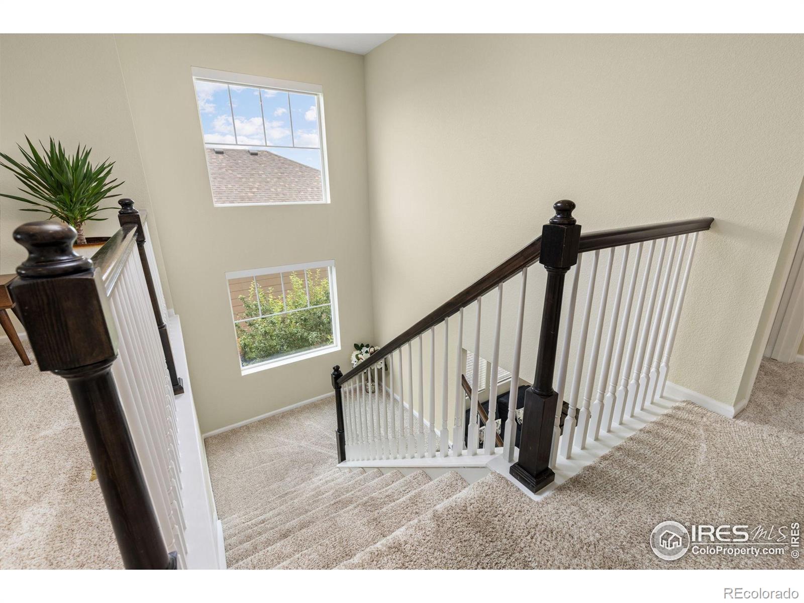 MLS Image #12 for 833  audubon peak drive,erie, Colorado