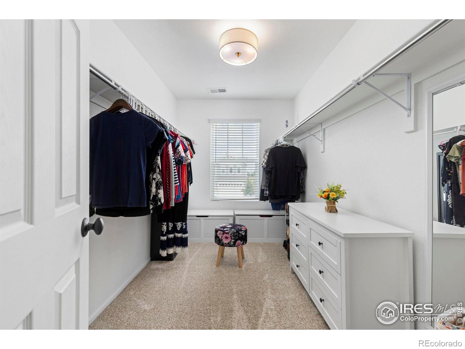 MLS Image #19 for 833  audubon peak drive,erie, Colorado