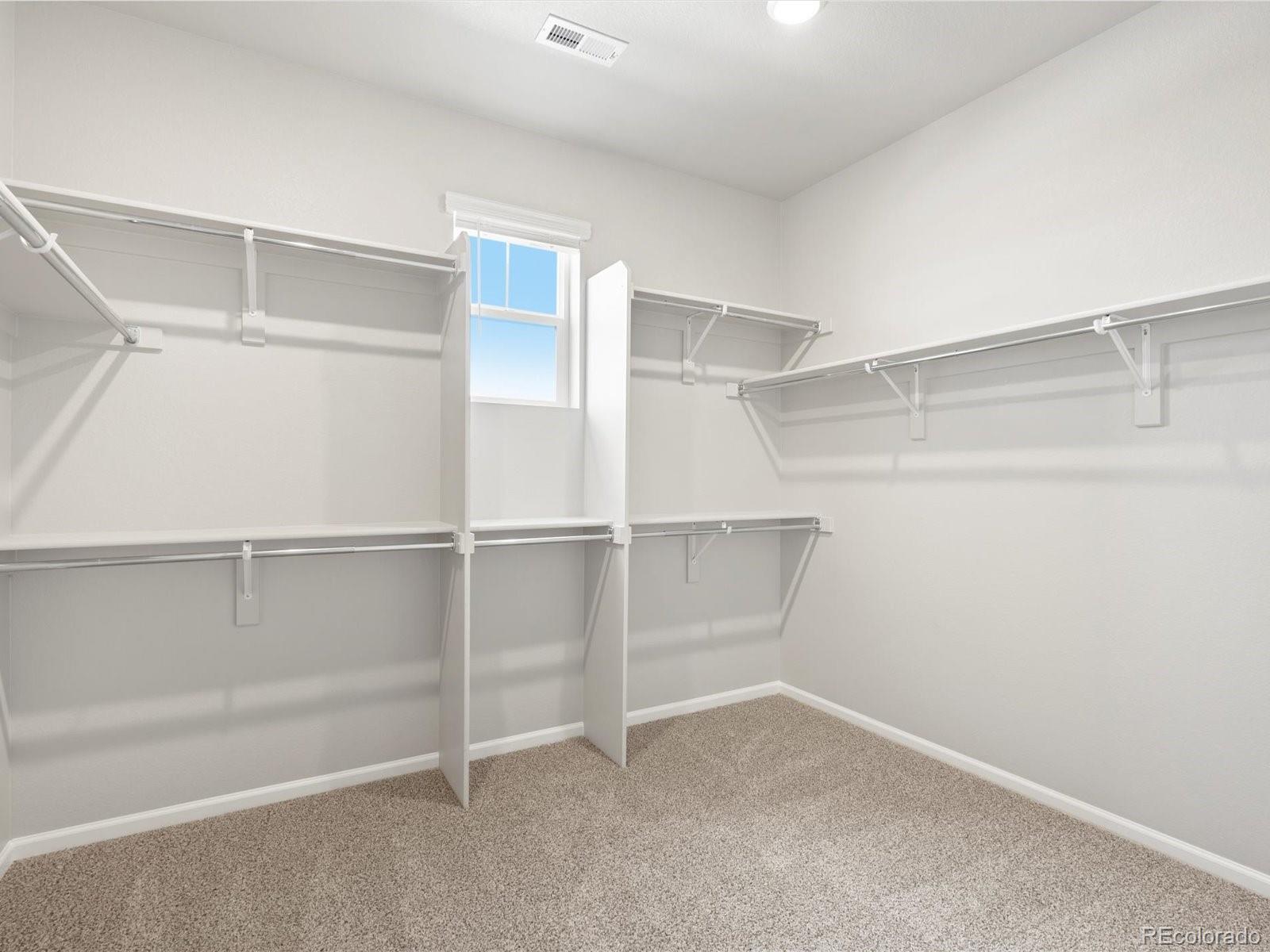 MLS Image #31 for 1604  colorado river drive,windsor, Colorado