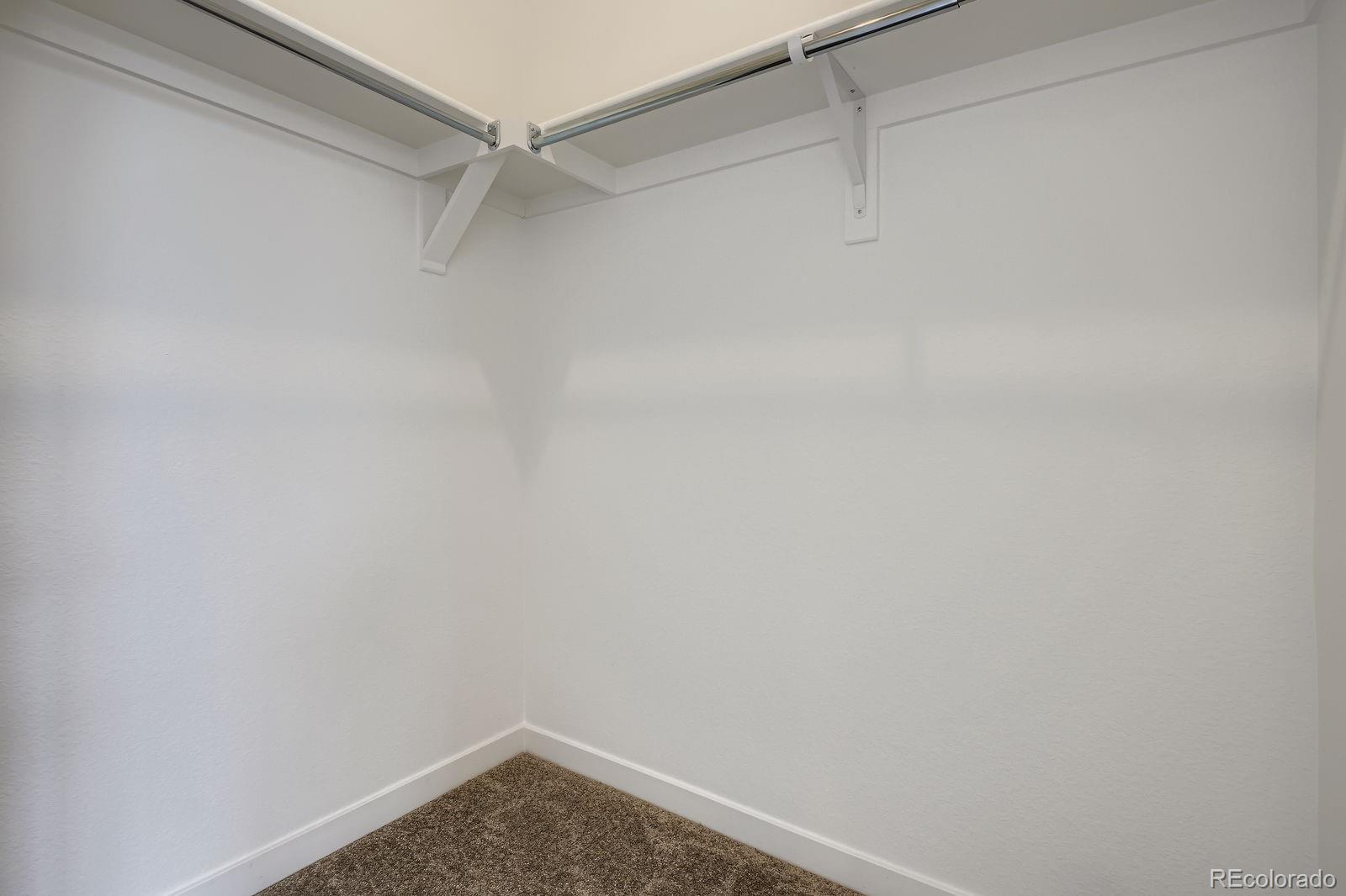 MLS Image #7 for 8955  whiteclover street ,littleton, Colorado