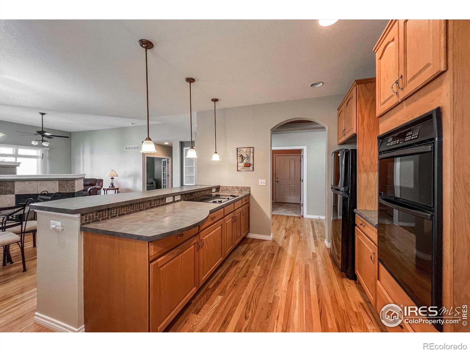 MLS Image #10 for 1430  bluefield avenue,longmont, Colorado