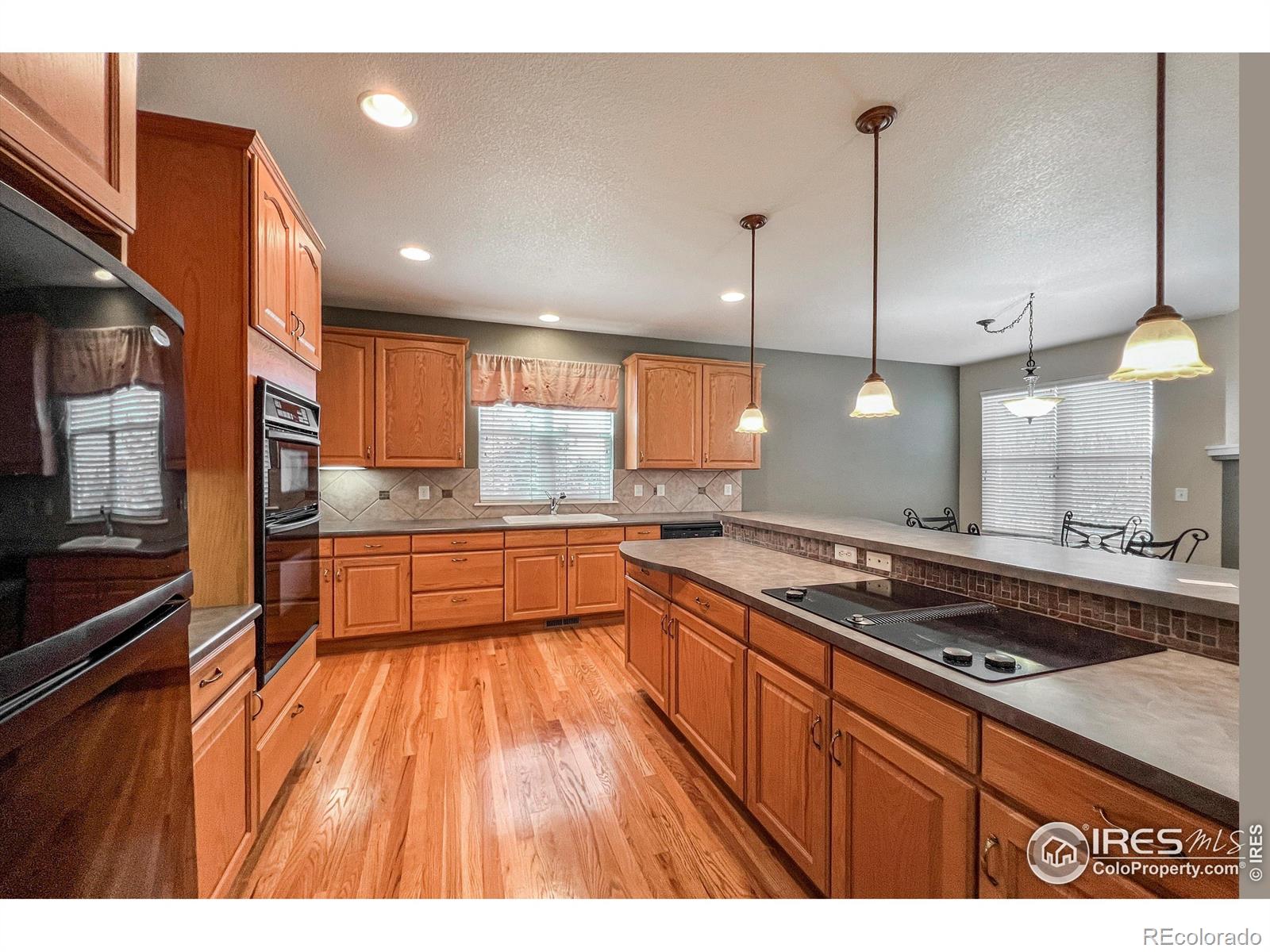MLS Image #11 for 1430  bluefield avenue,longmont, Colorado