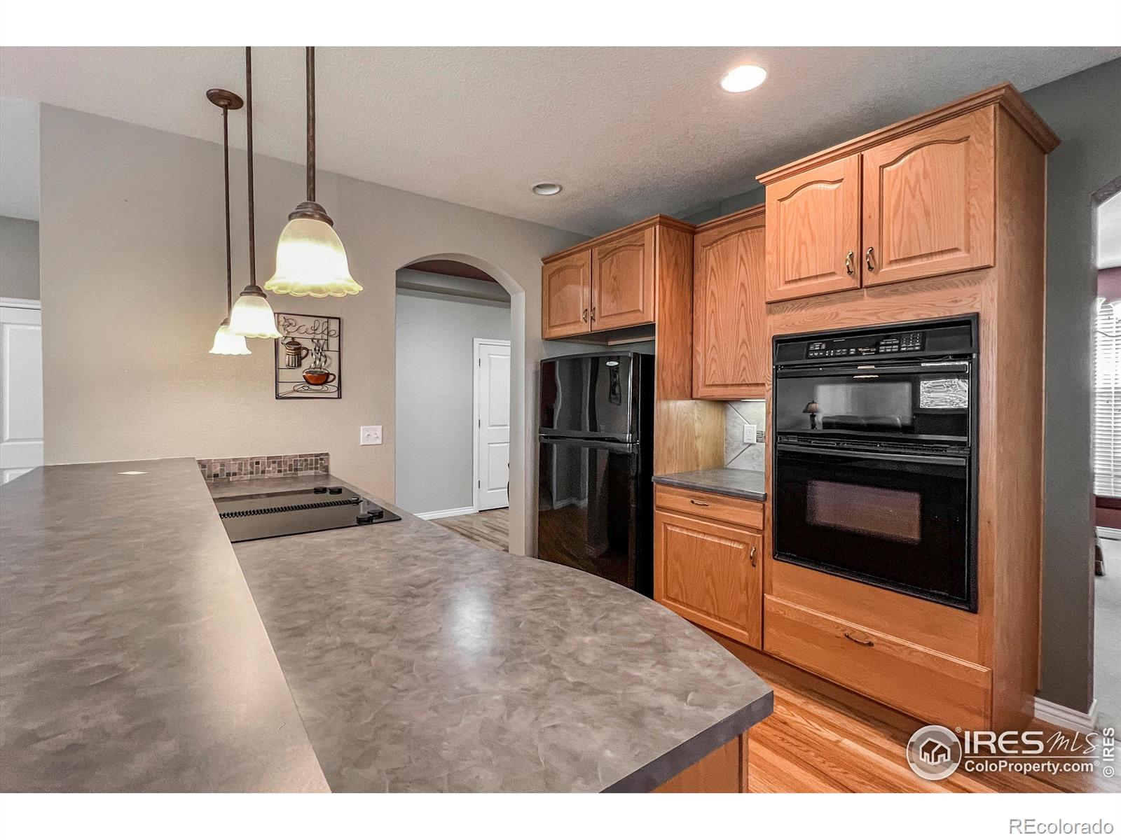 MLS Image #9 for 1430  bluefield avenue,longmont, Colorado