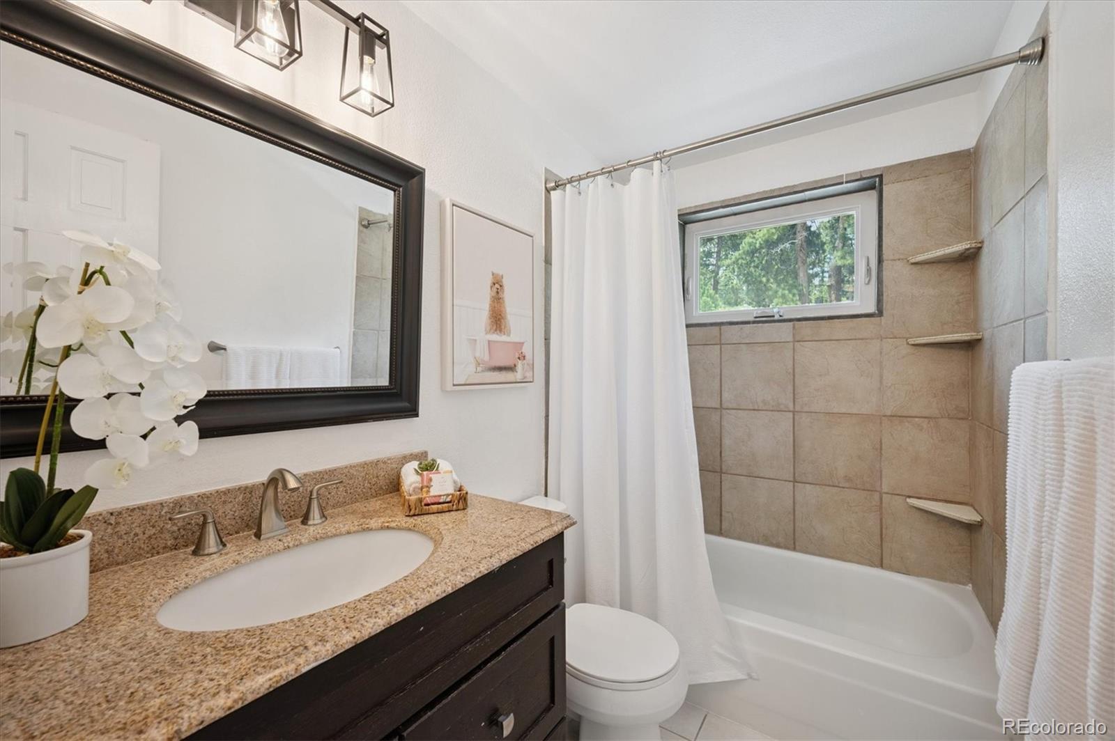 MLS Image #17 for 9189  fallen rock road,conifer, Colorado