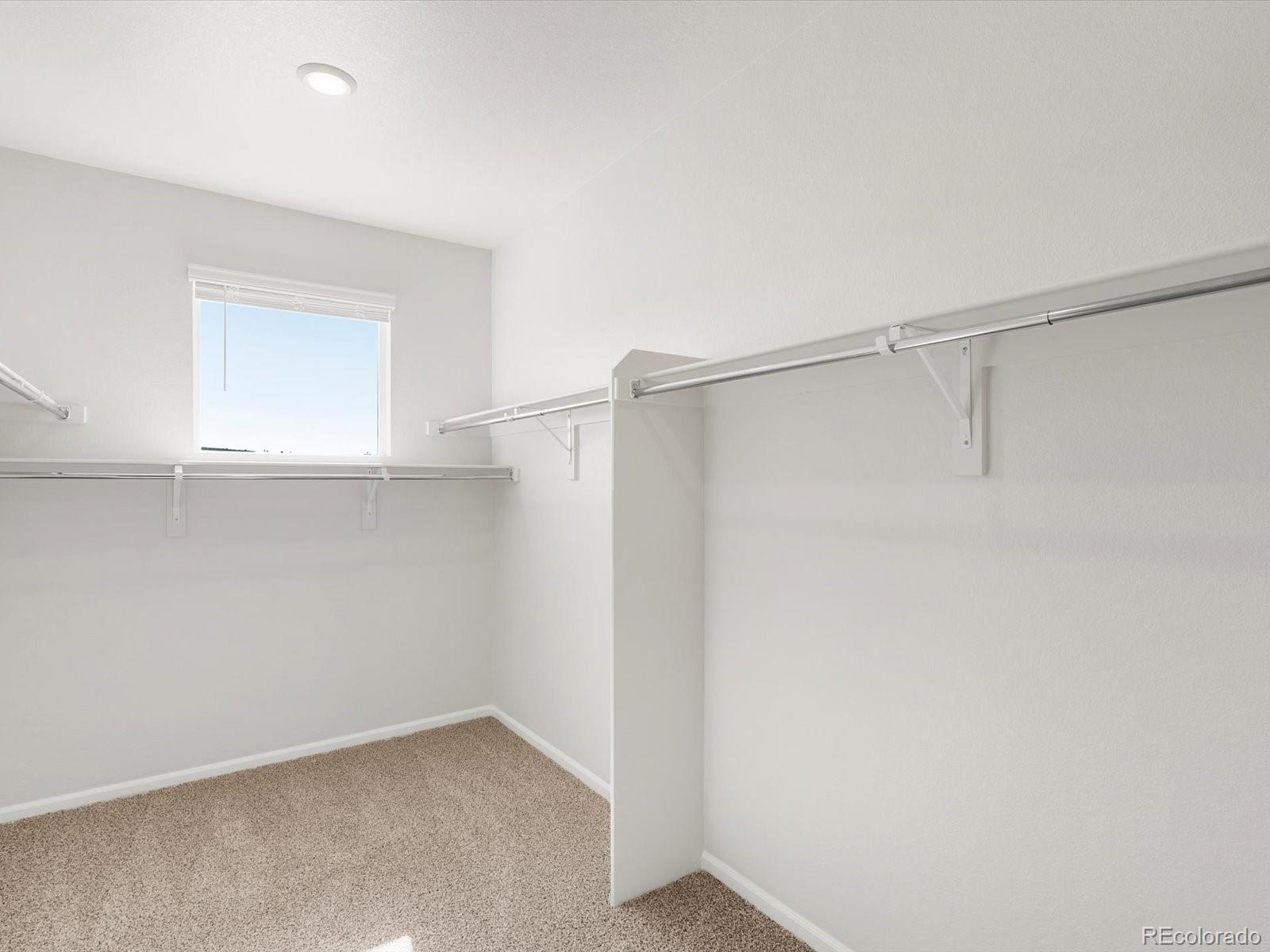 MLS Image #29 for 1611  nathan river drive,windsor, Colorado